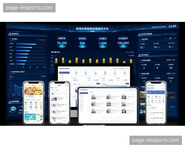 当前阶段场馆基建硬投入放缓 智慧化管理系统成核心驱动
